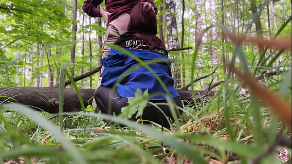 Kiedy nowy forest 3