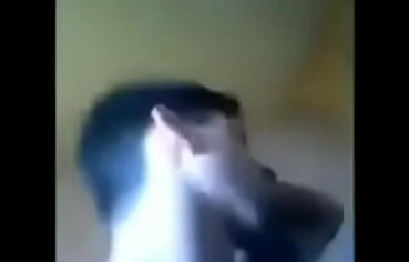 Scp o