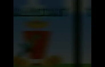Servidores de blox fruits discord