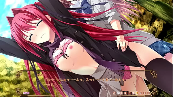 Aya canvas