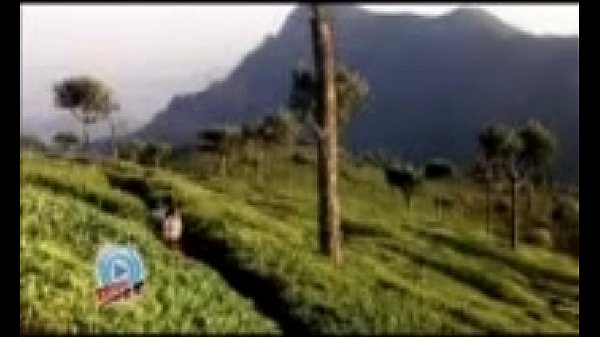 Cheese film youtube